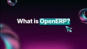 What is OpenERP